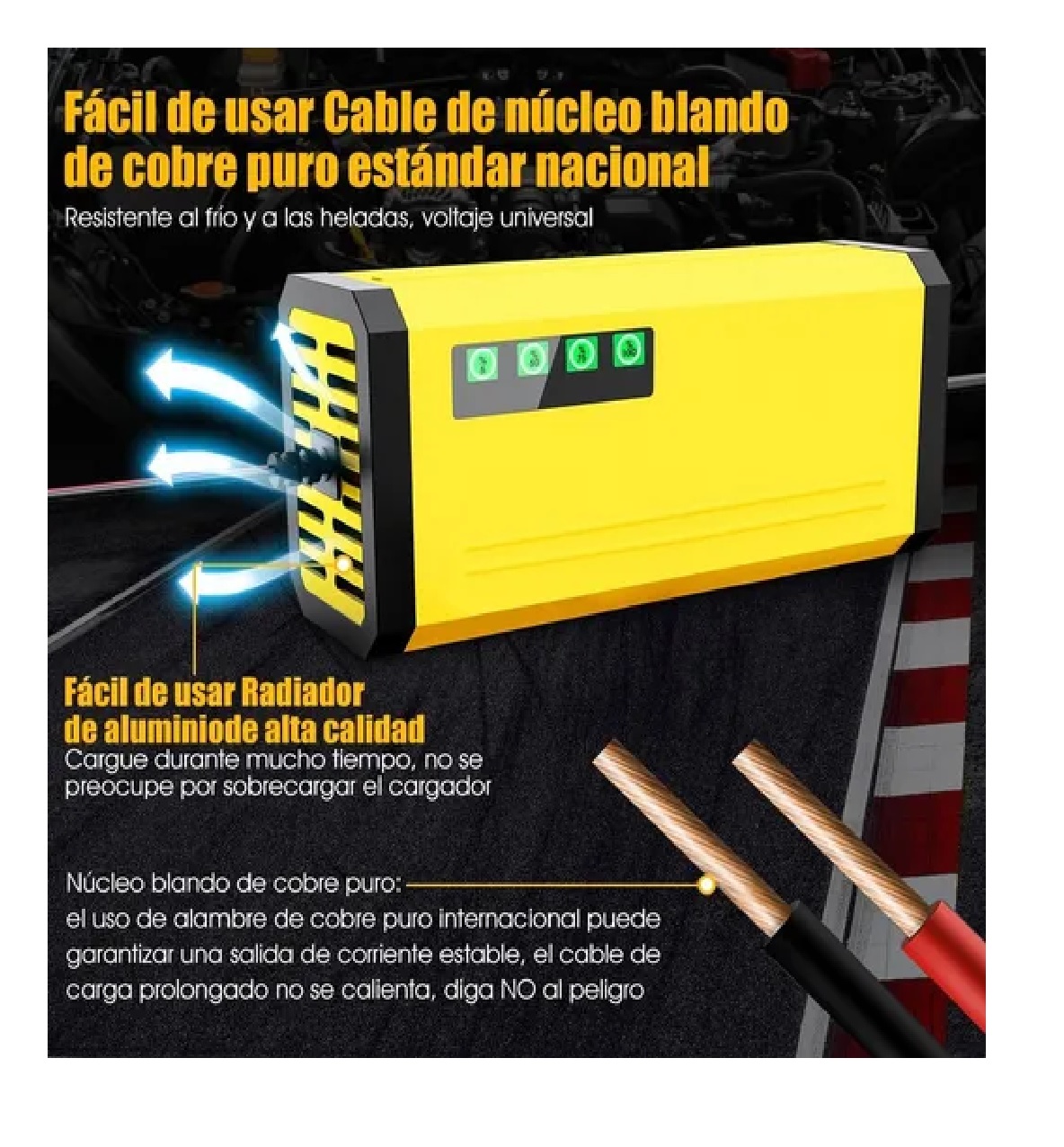 Cargador Inteligente De Baterias De Carro Y Motocicleta 12v