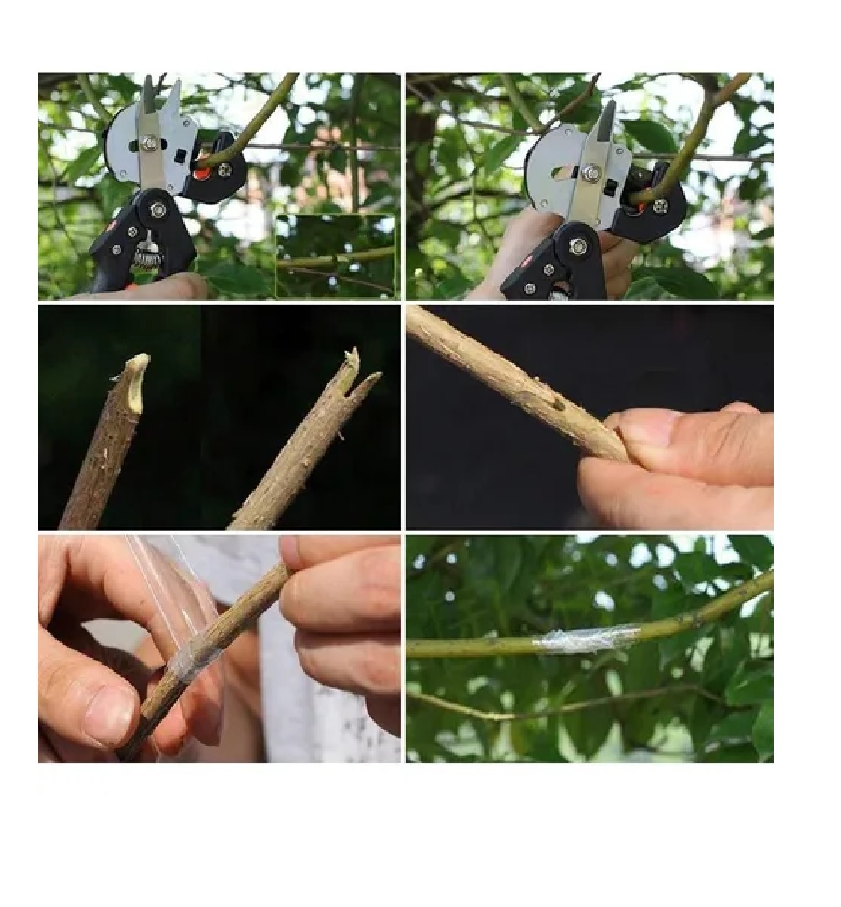 Pinzas Podadoras De Injertos Plantas Jardín Con Cinta D Goma