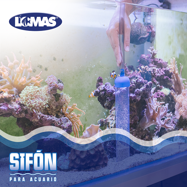 Sifón Manual Lomas Grande Peces Acuario 66 Cm