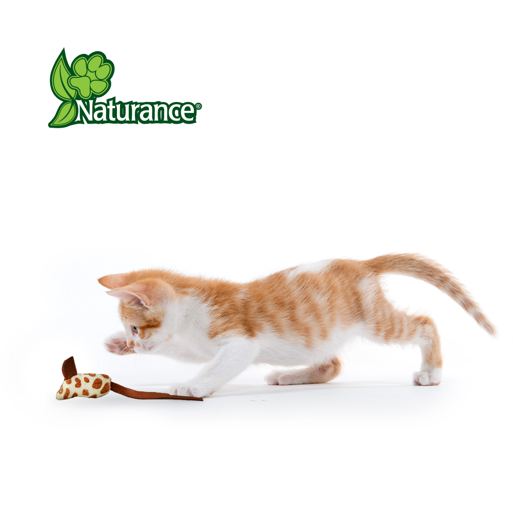 Juguete Para Gato 3 Ratones Eco Play Fancy Pets