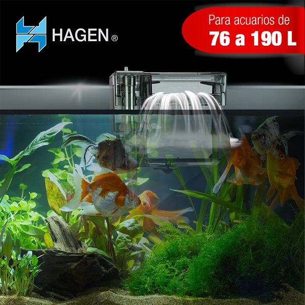 Filtro Cascada Aquaclear 50 Pecera De Hasta 190 Litros Peces