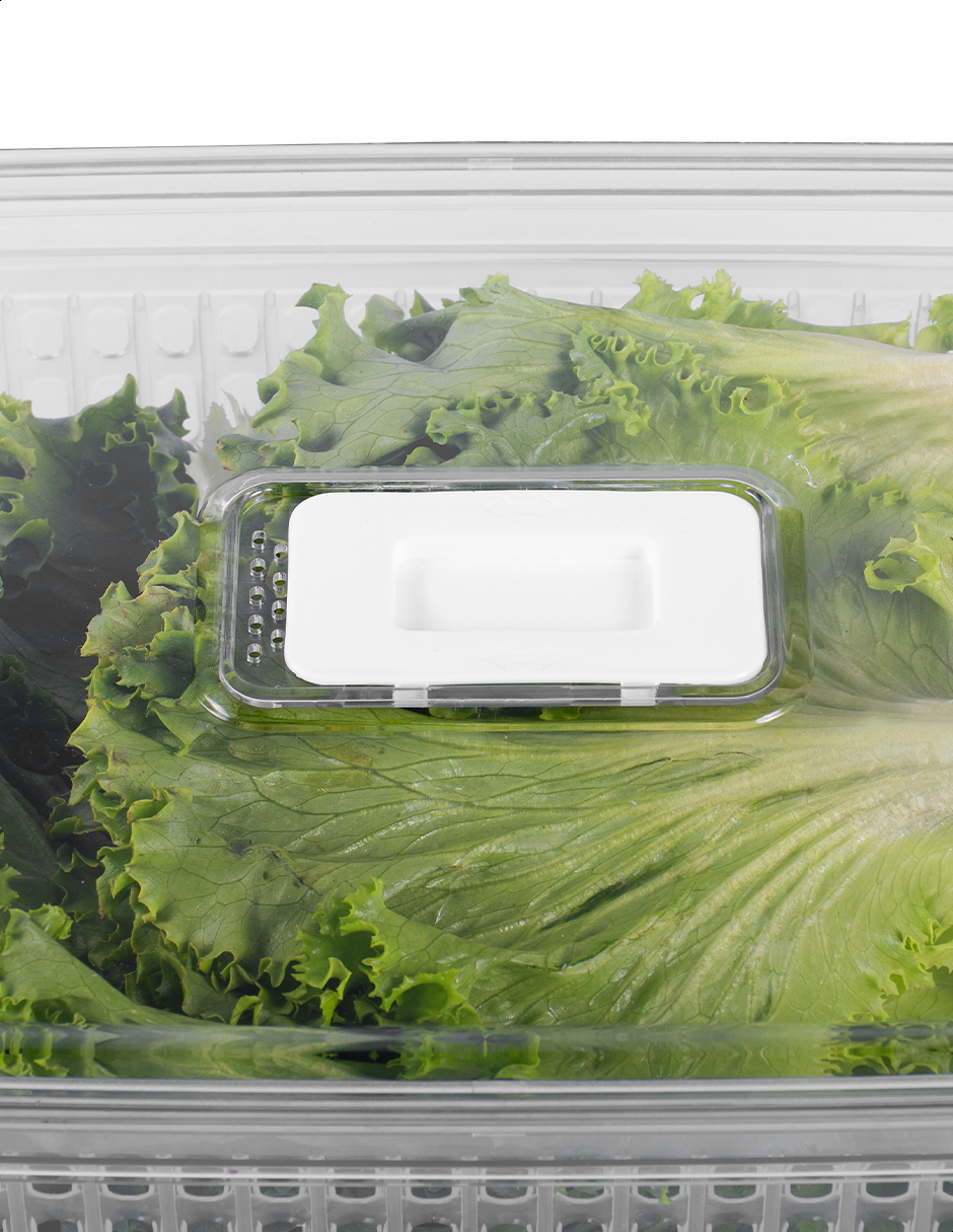 Set 2 contenedores con rejilla interior 3.6 L Tutti