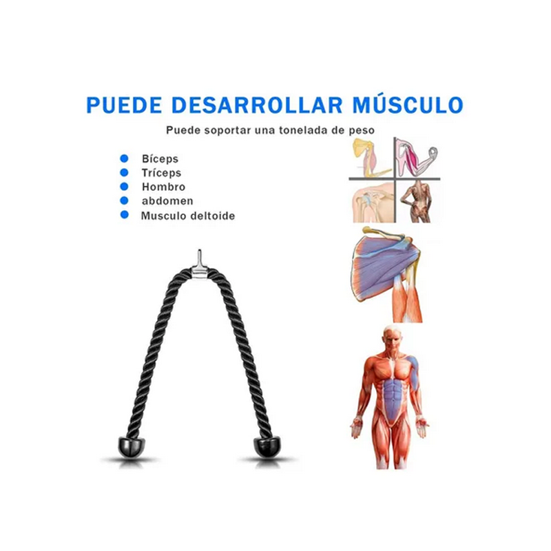 Cuerda Entrenamiento Gym Tríceps Para Desarrollo Muscular