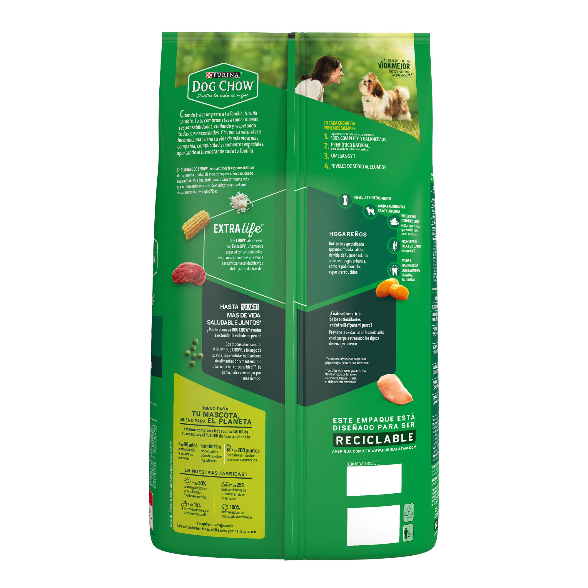Purina Dog Chow Hogareños Alimento seco perros adultos todas las razas, bulto de 10kg