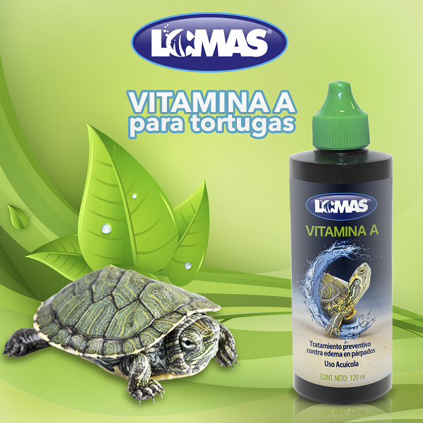 Vitamina A Para Tortugas 120 Ml Preventivo