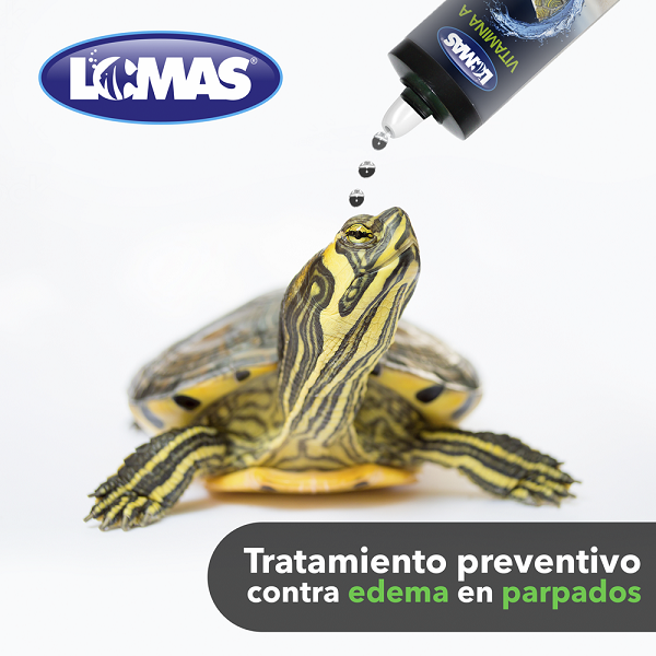 Vitamina A Para Tortugas 120 Ml Preventivo