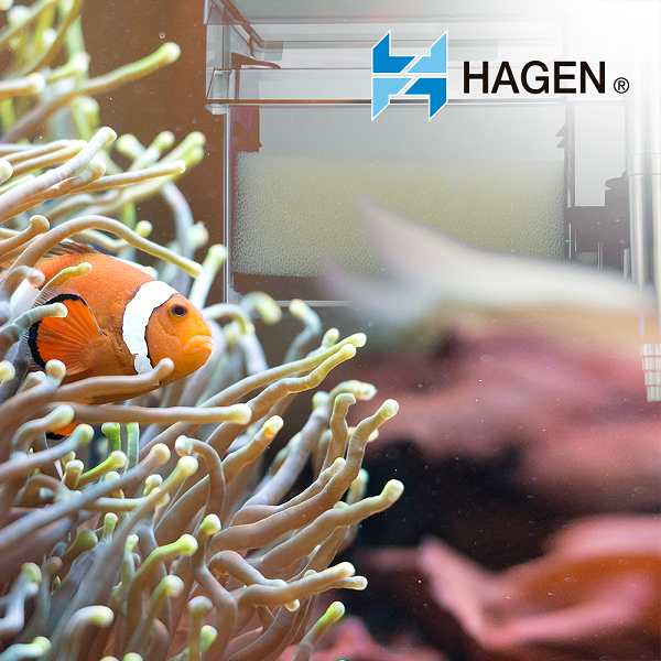 Filtro Cascada Aquaclear 110 Acuarios De 227 A 416 Litros