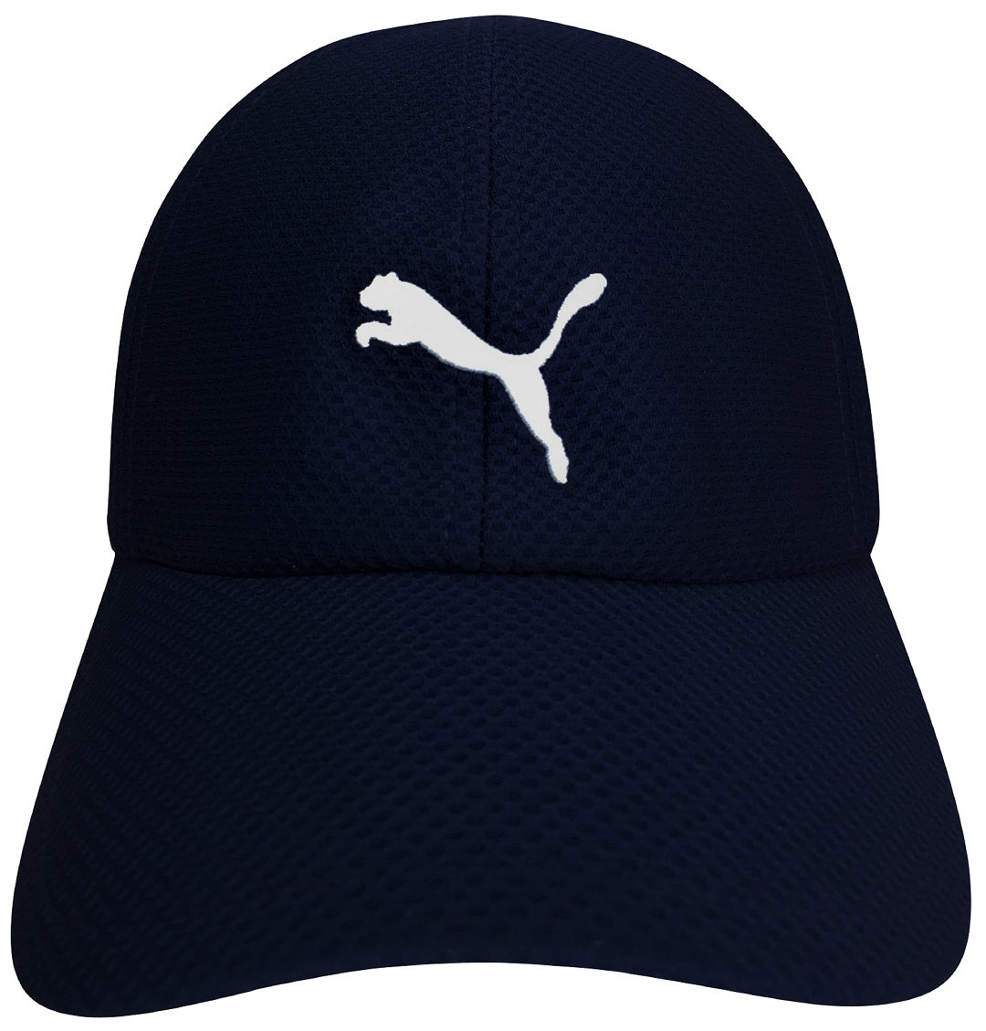 Gorra Puma Original Curva Modelo 021749 01