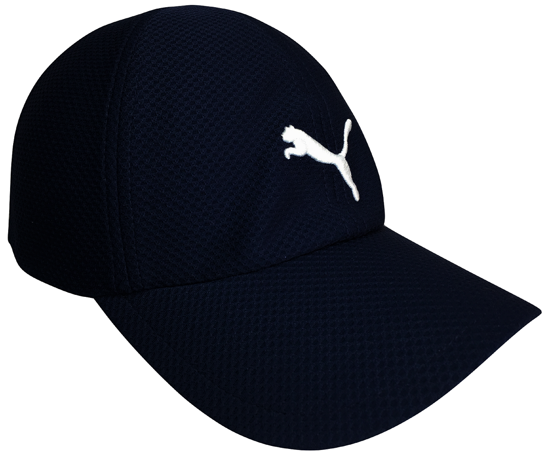 Gorra Puma Original Curva Modelo 021749 01