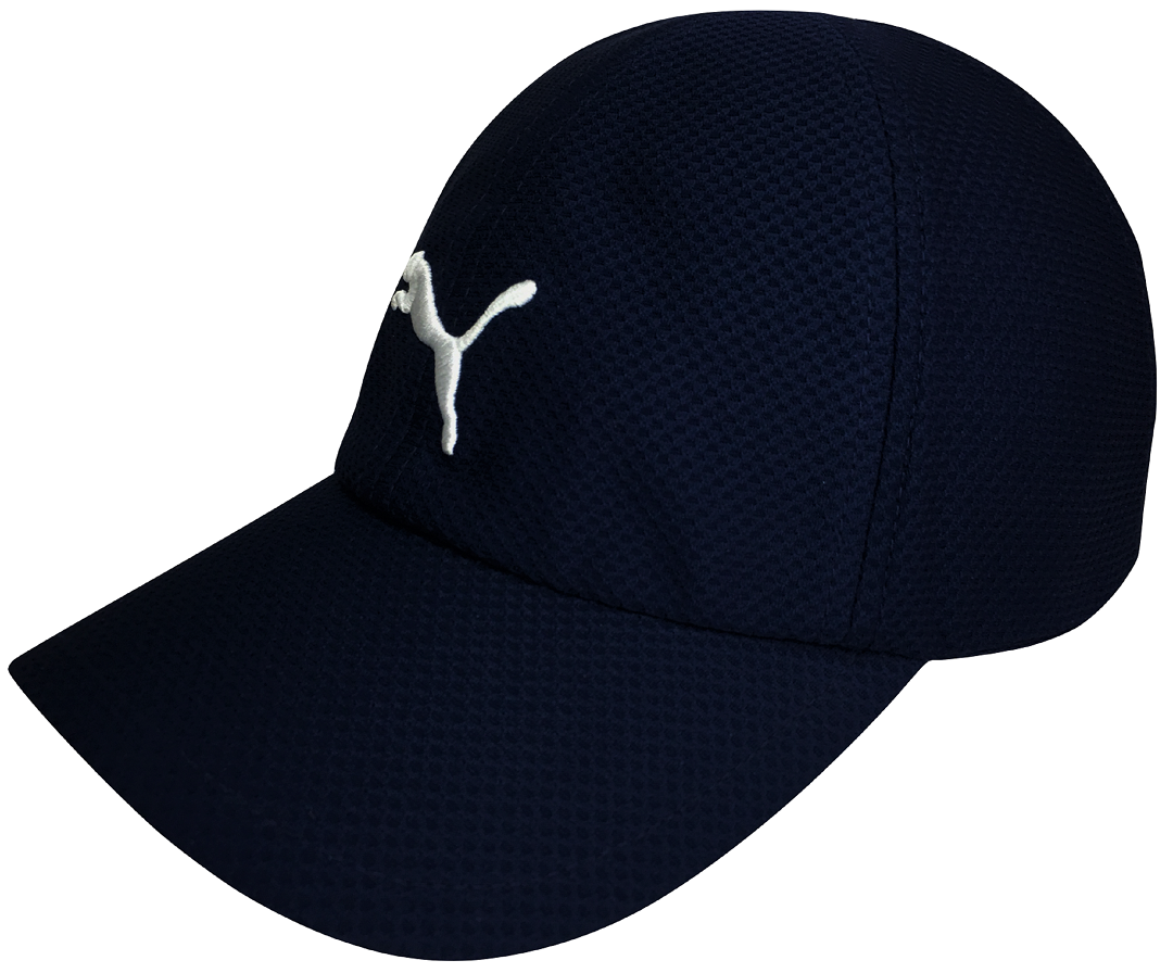 Gorra Puma Original Curva Modelo 021749 01