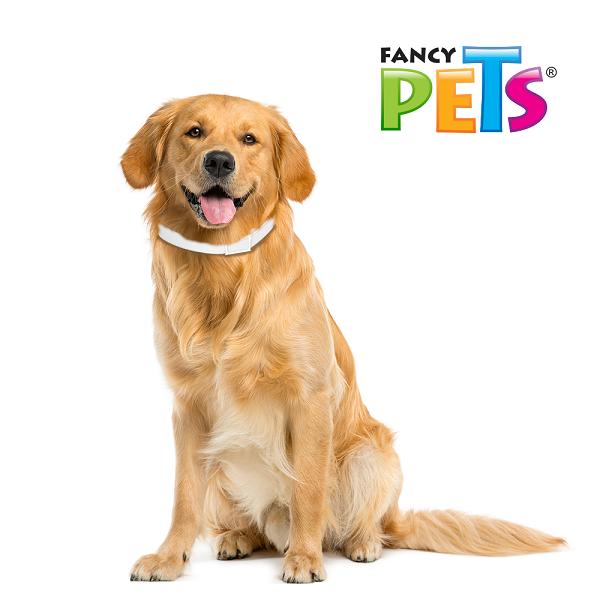 Collar Antipulgas Garrapatas Para Perro Grande