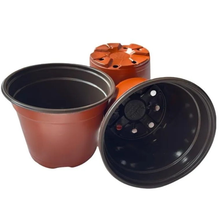 Macetitas 3 Pulgadas Terracota 100 Macetas Cactus