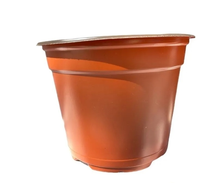 Macetitas 3 Pulgadas Terracota 100 Macetas Cactus