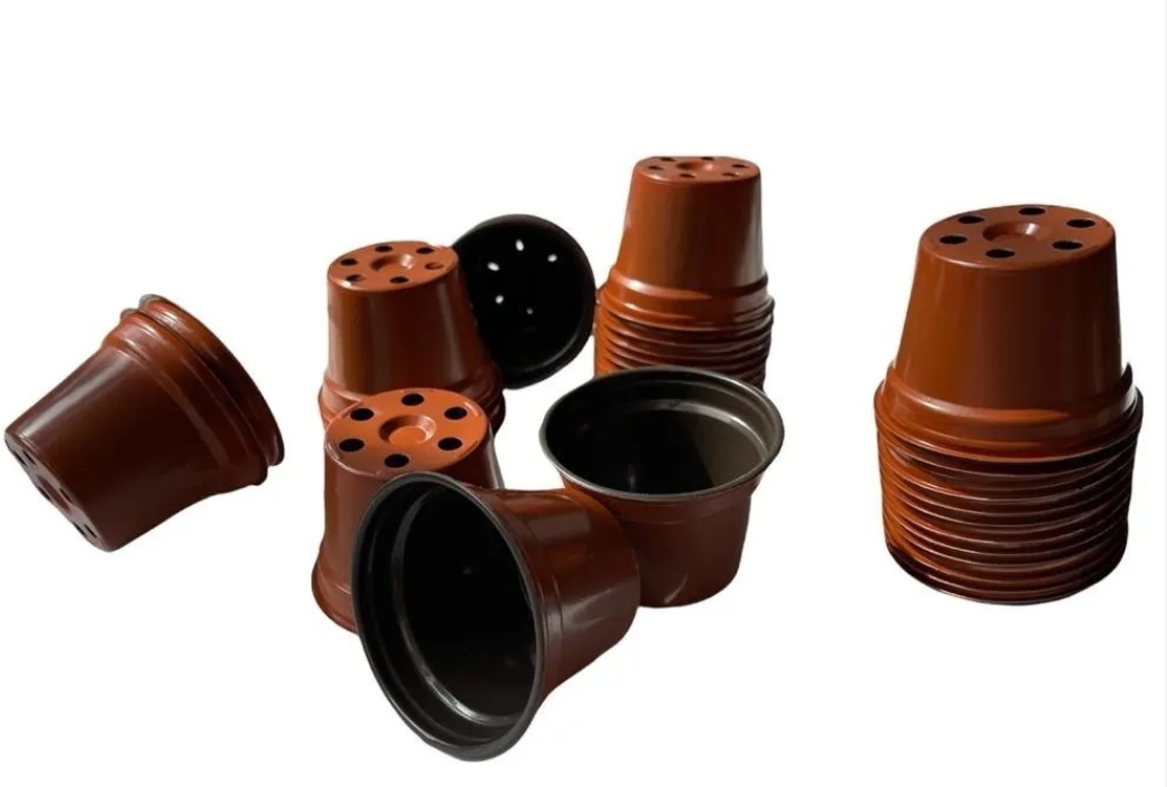 Macetitas 3 Pulgadas Terracota 100 Macetas Cactus