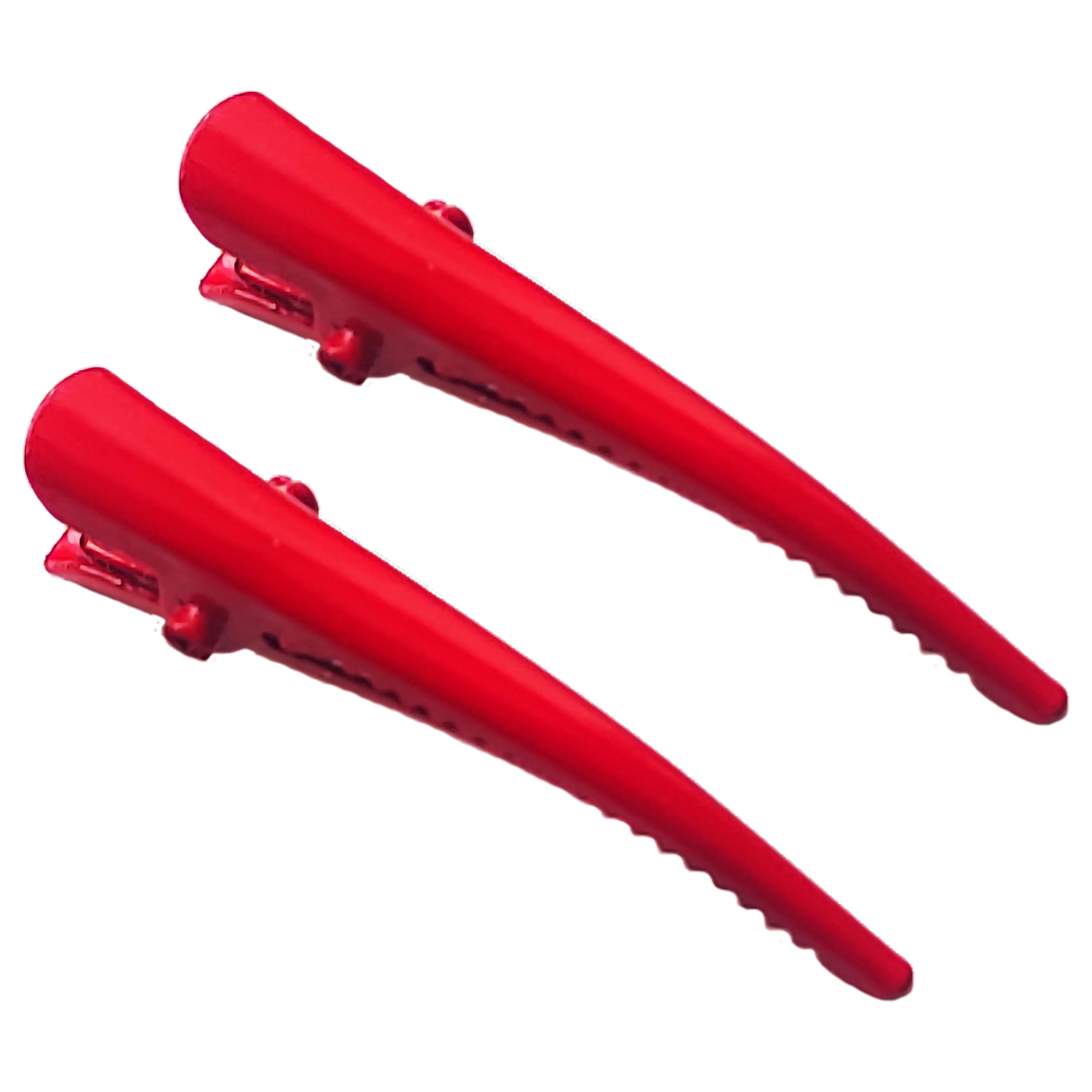 Par Pasadores Chicos para Cabello