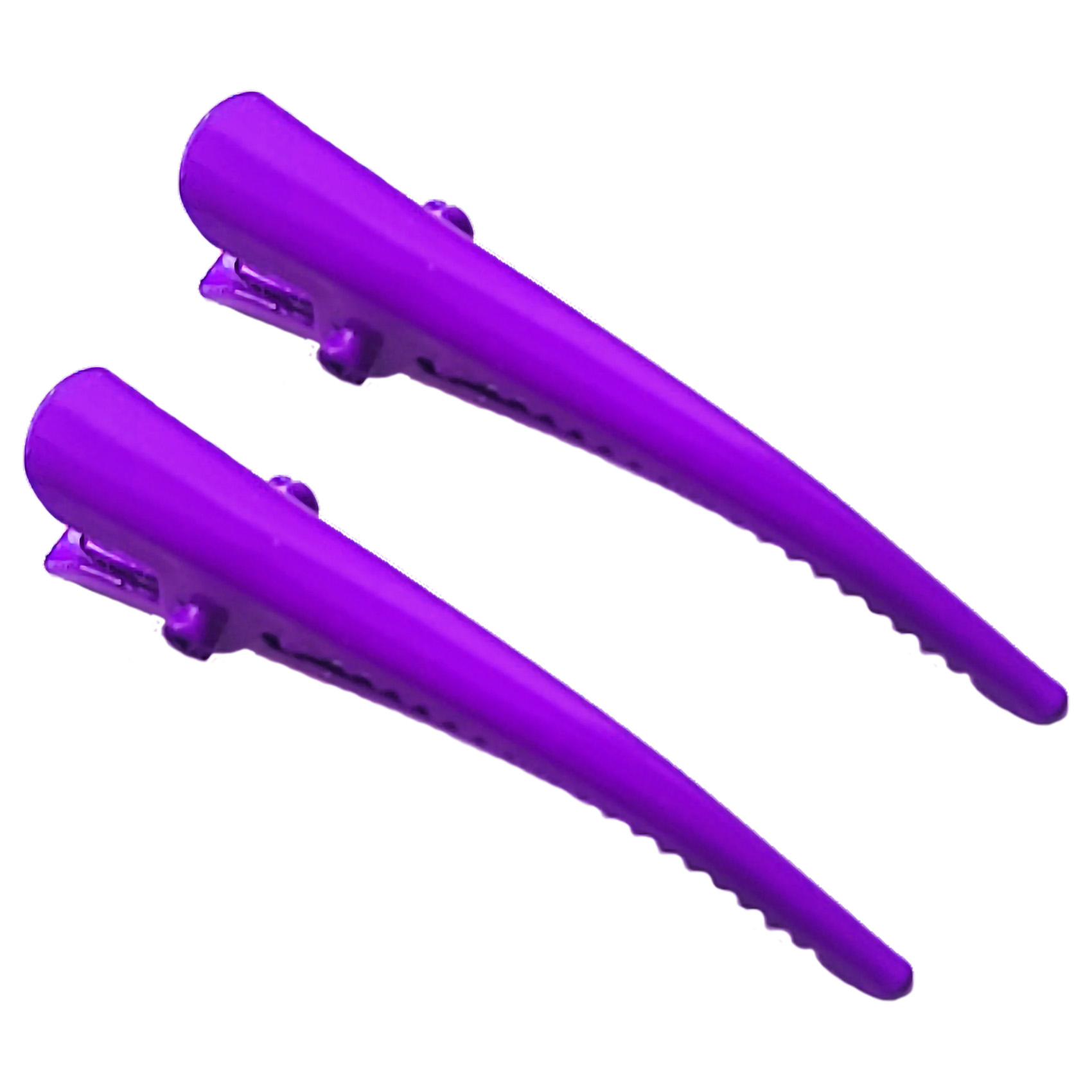 Par Pasadores Chicos para Cabello
