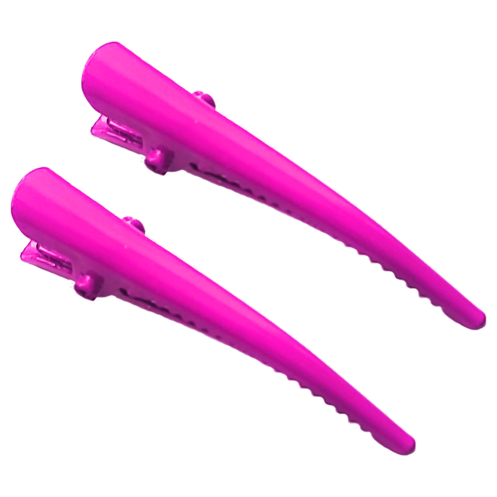 Par Pasadores Chicos para Cabello
