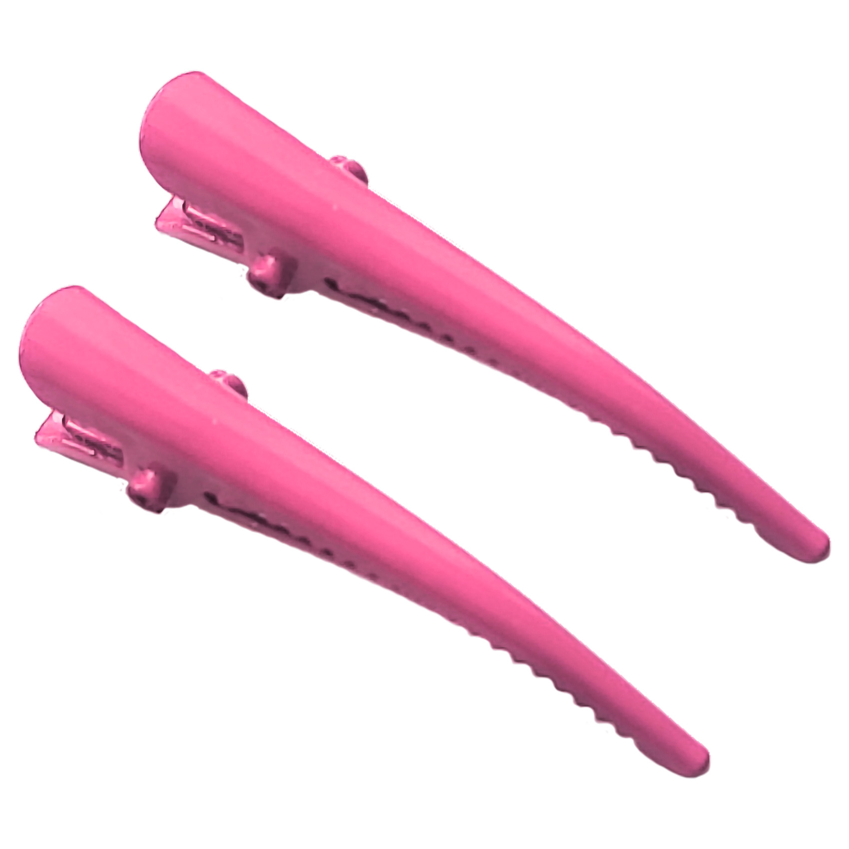 Par Pasadores Chicos para Cabello