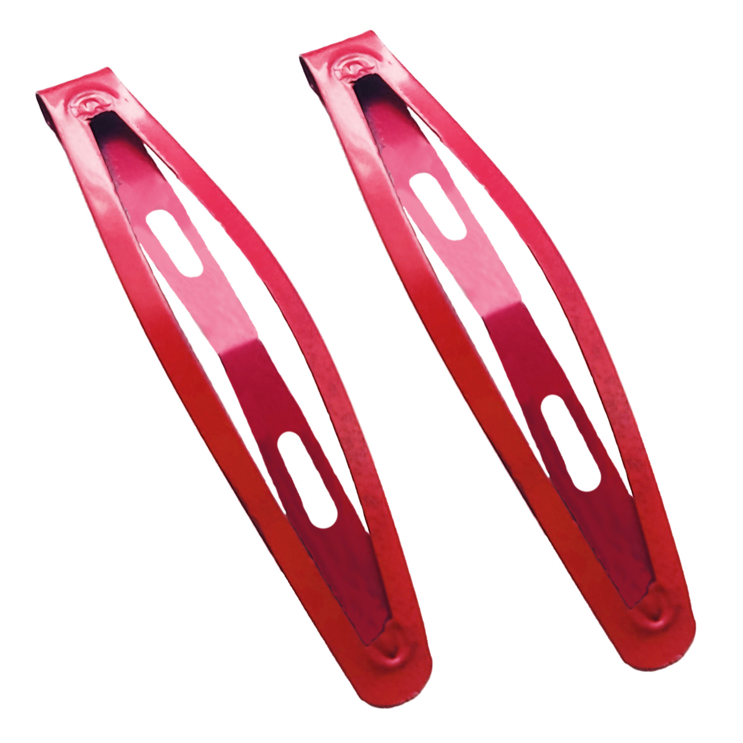 Par Pasadores Sencillos para Cabello