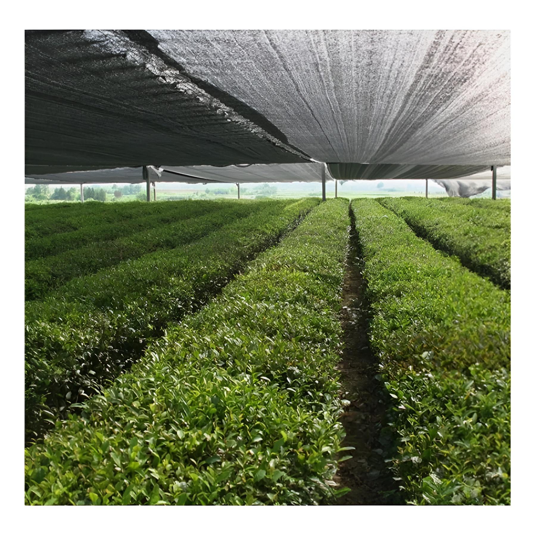 Malla Sombra Raschel Negra Rollo 70% 4.20x15 Mts