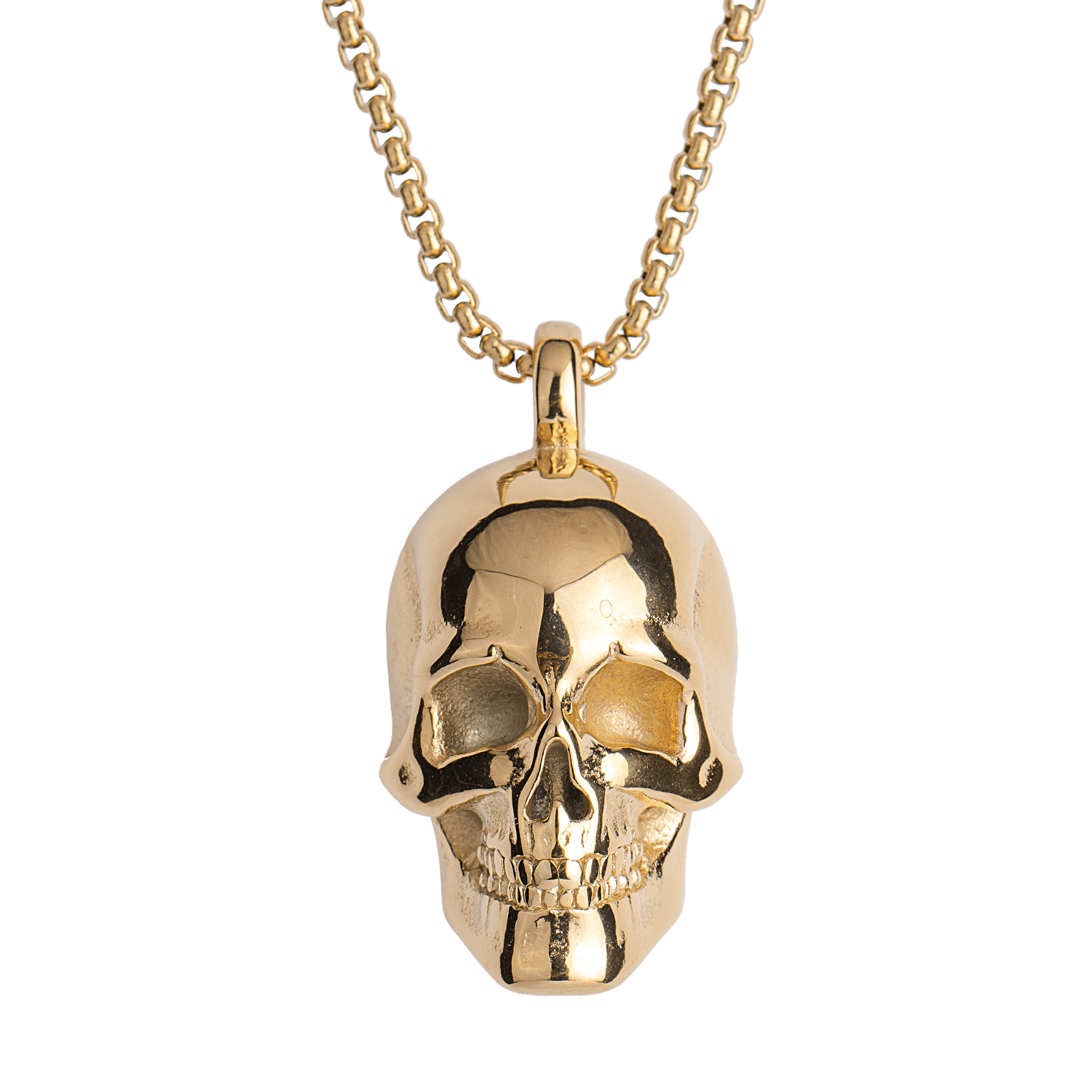 LUCKMAN Collar Hombre , Cadena con Dije de Calavera, Acero Inoxidable con Baño de Oro 18k - Modelo Troy