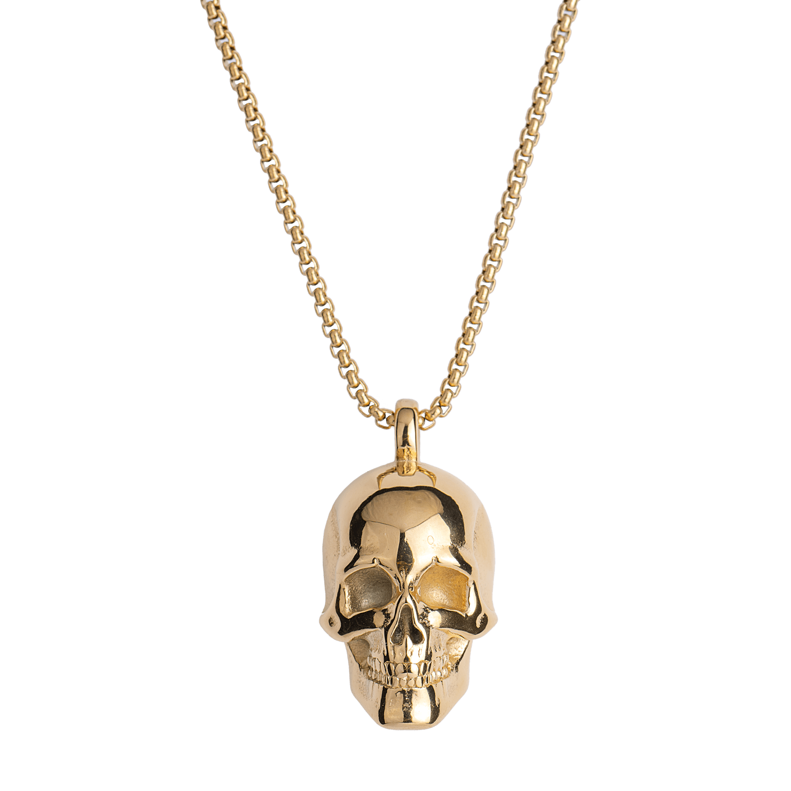 LUCKMAN Collar Hombre , Cadena con Dije de Calavera, Acero Inoxidable con Baño de Oro 18k - Modelo Troy