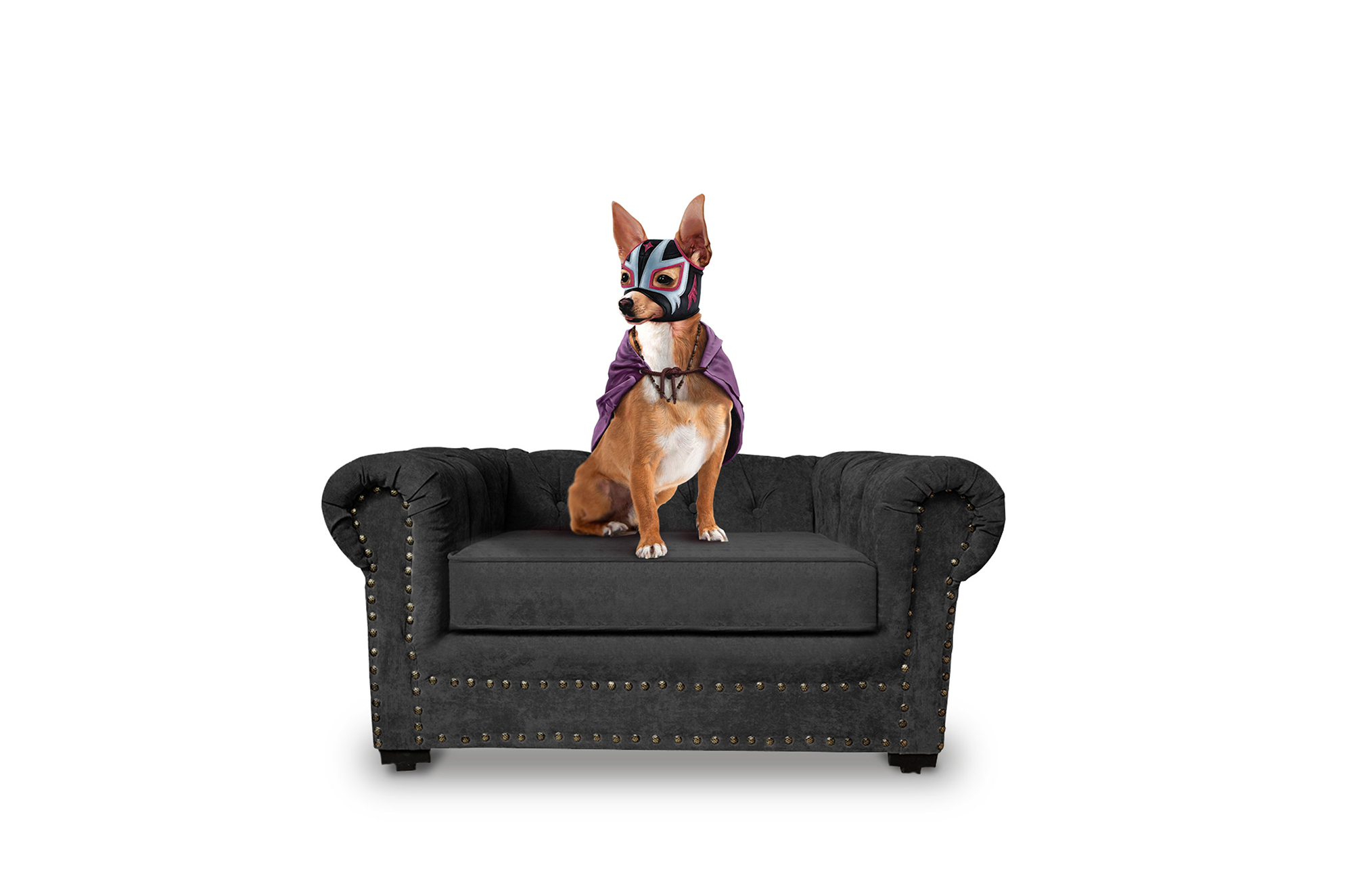 Sofá Cama Chester Gris Oxford Makora Para Mascotas. El envío cubre un 80% del Territorio Nacional