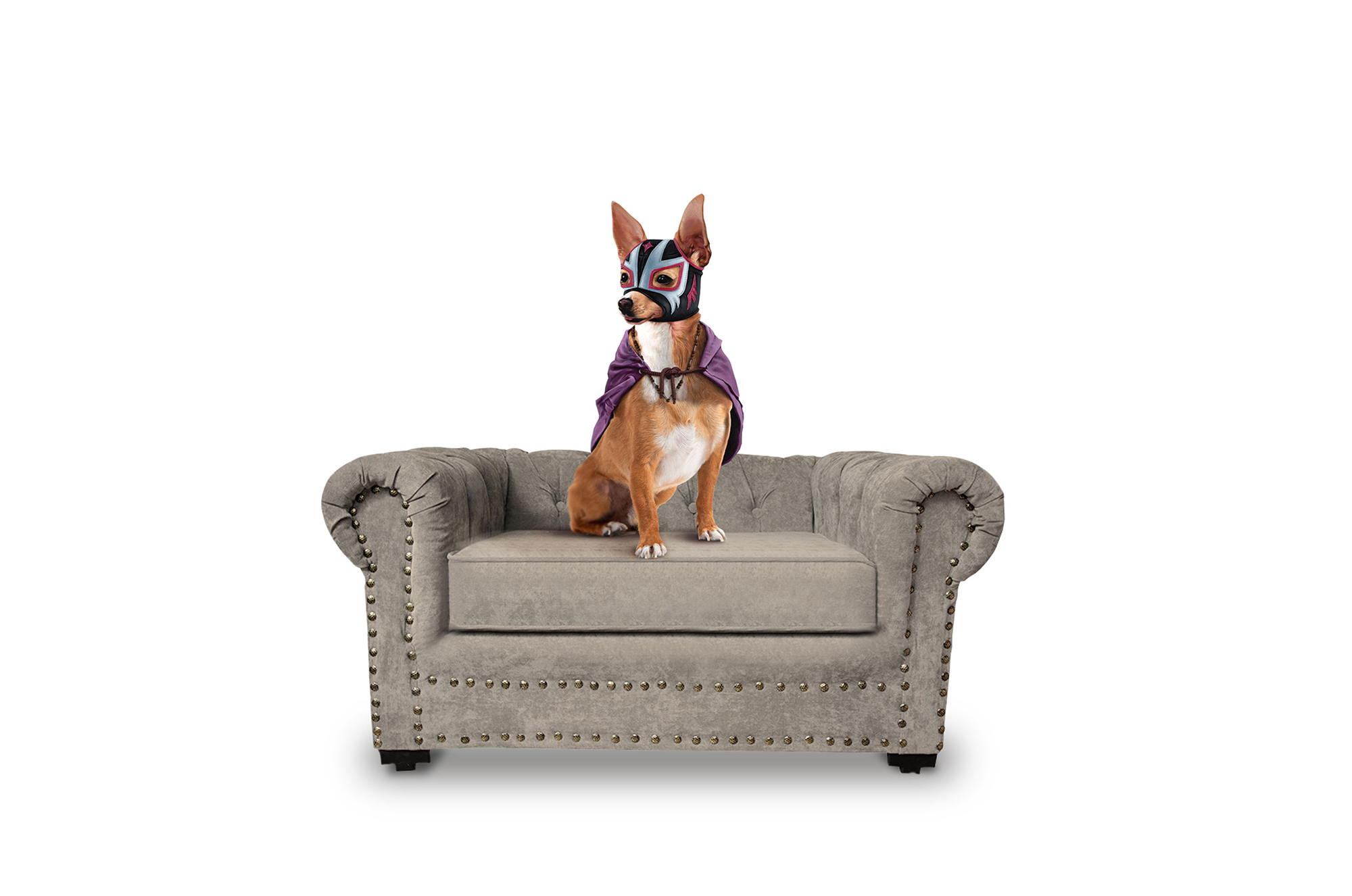 Sofá Cama Chester Beige Makora Para Mascota. El envío cubre un 80% del Territorio Nacional