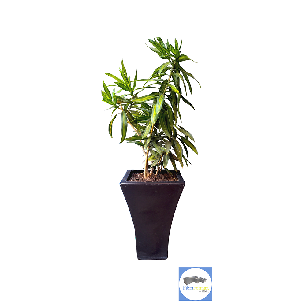 Maceta de fibra de vidrio modelo Francés Extra grande chocolate*