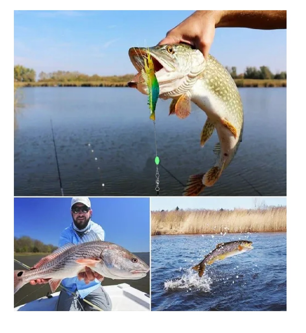 Juego Señuelo De Pesca Luminiscente Realista De Camarón