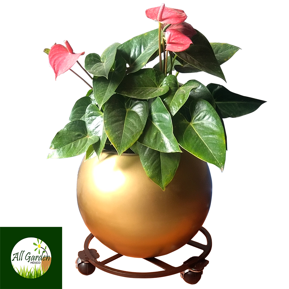 Base Metálica para Macetas All Garden MX Modelo Móvil Redondo 30*