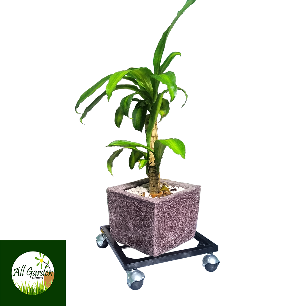 Base Metálica para Macetas All Garden MX Modelo Móvil Cuadrado 40*