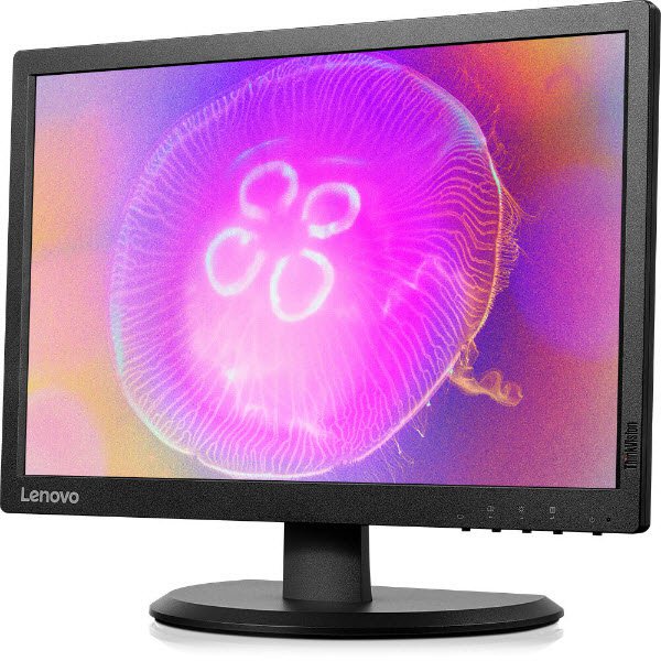 Monitor Lenovo ThinkVision E2054 LCD 19.5 " Negro,  Reacondicionado, Grado A