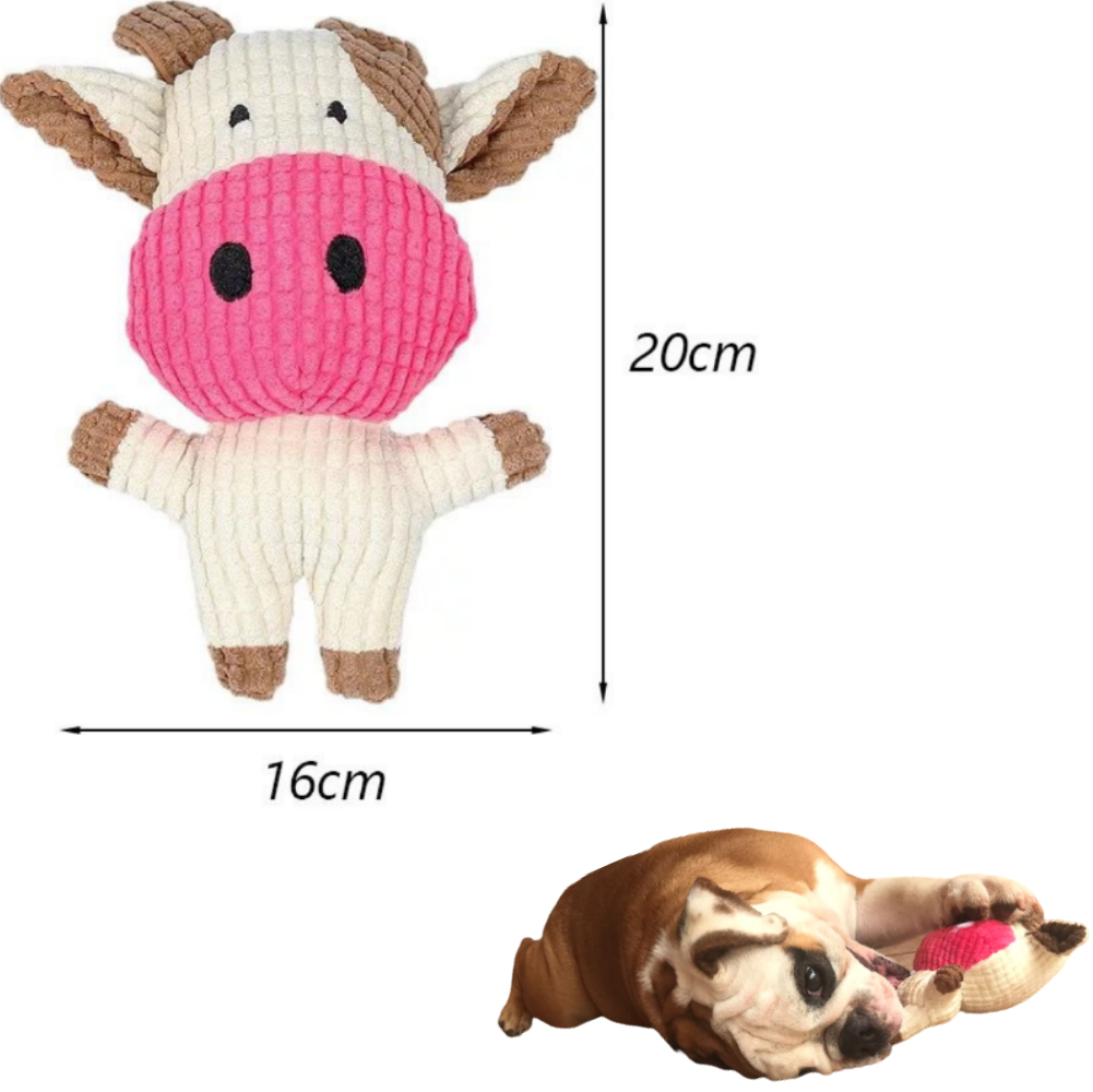 Juguete para mascota Kit De 6 Piezas Indestructibles