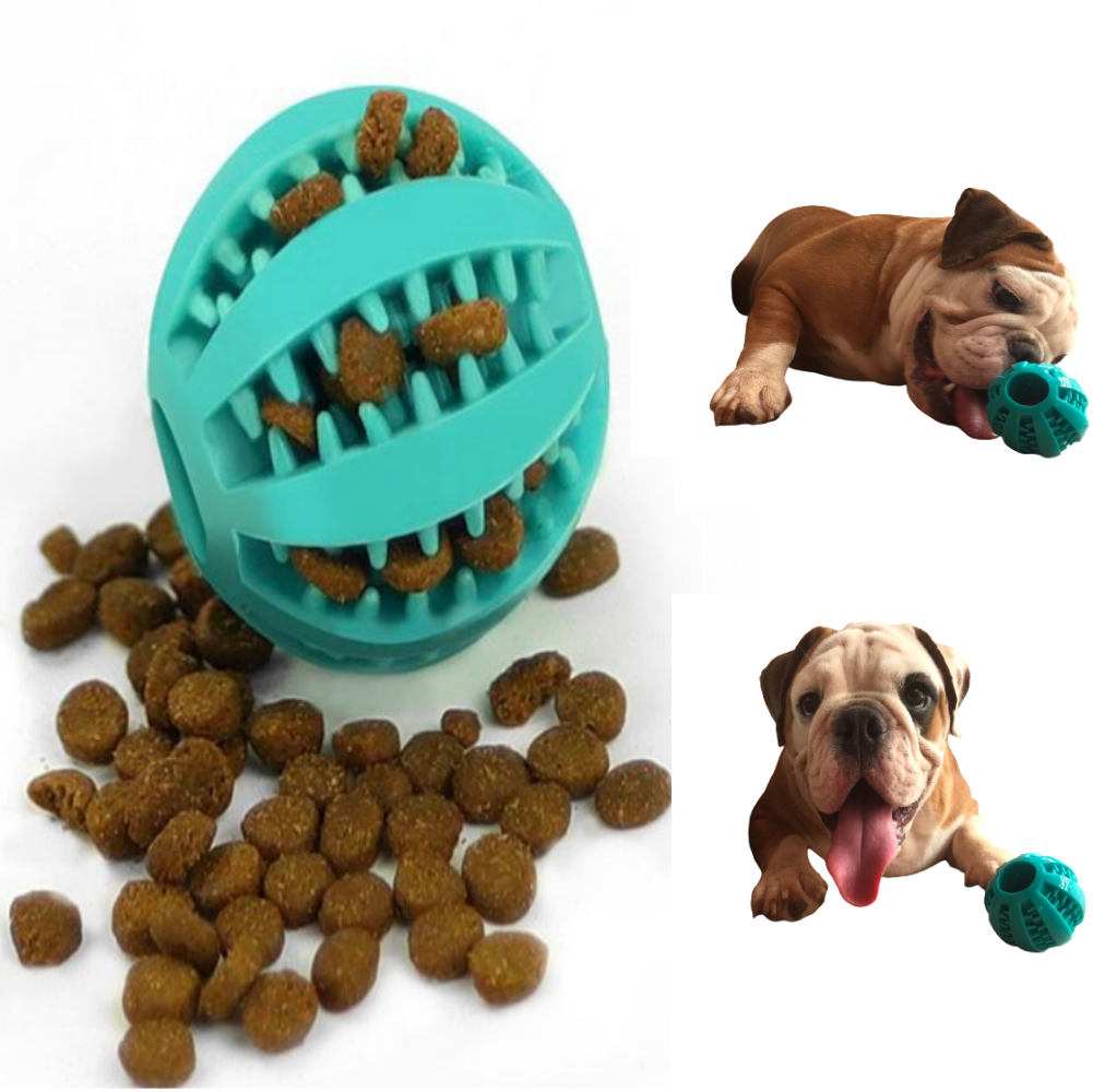 Juguete para mascota Kit De 6 Piezas Indestructibles