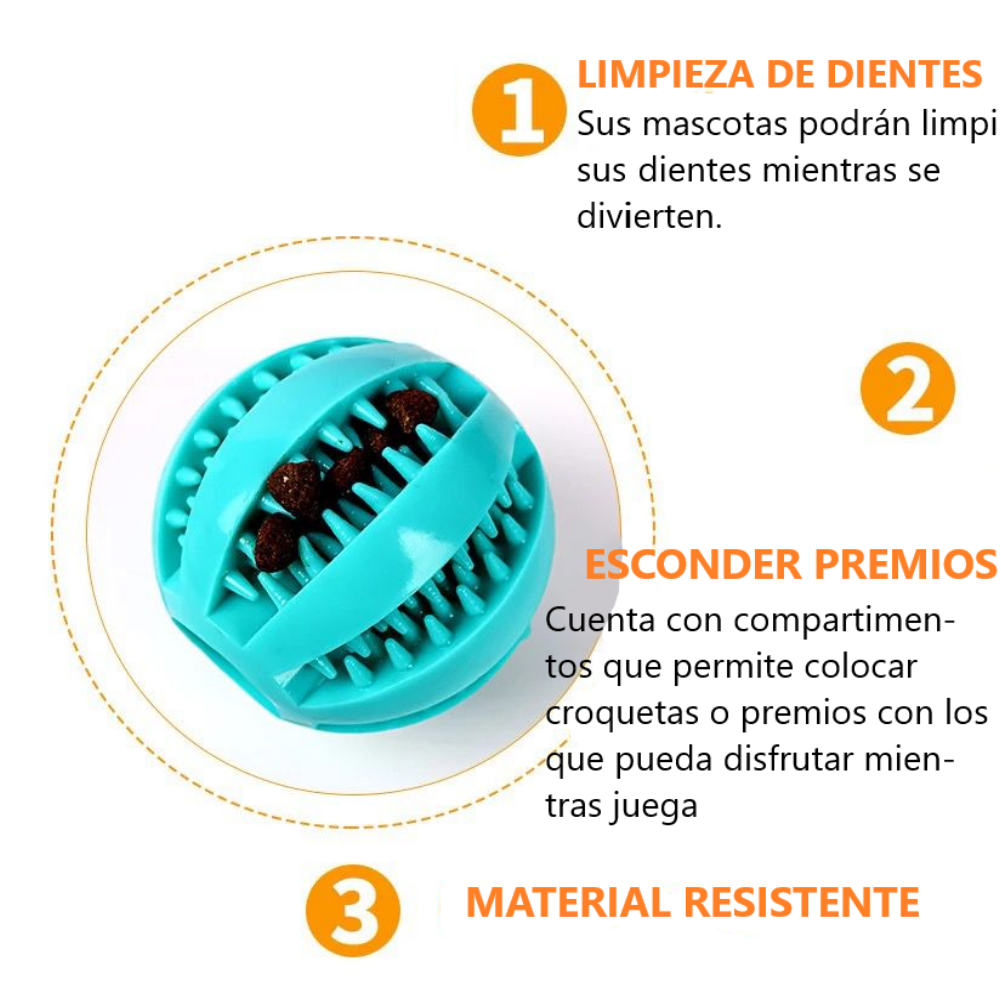 Juguete para mascota Kit De 6 Piezas Indestructibles