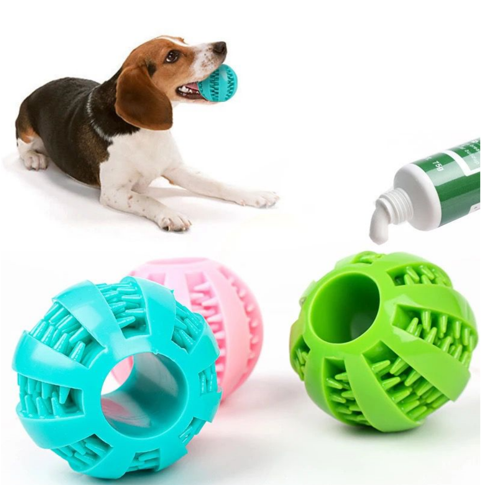 Juguete para mascota Kit De 6 Piezas Indestructibles