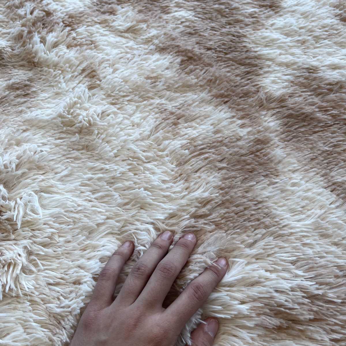 Tapete Decorativo Afelpado Motley Pelaje Largo Suave 2x3m Camel