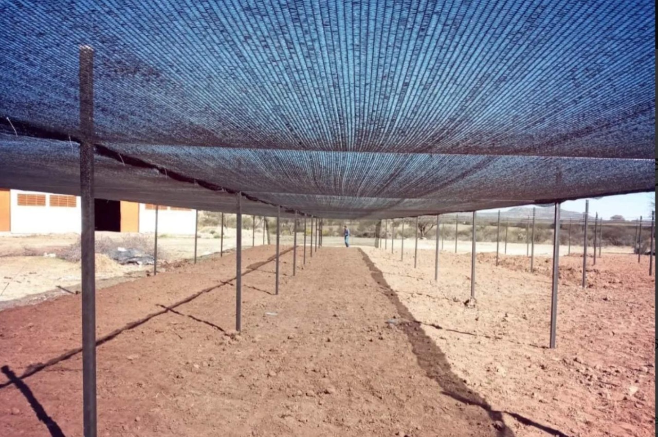 Malla Sombra Rollo 70 Raschel 4x15 Mts Invernaderos Jardín