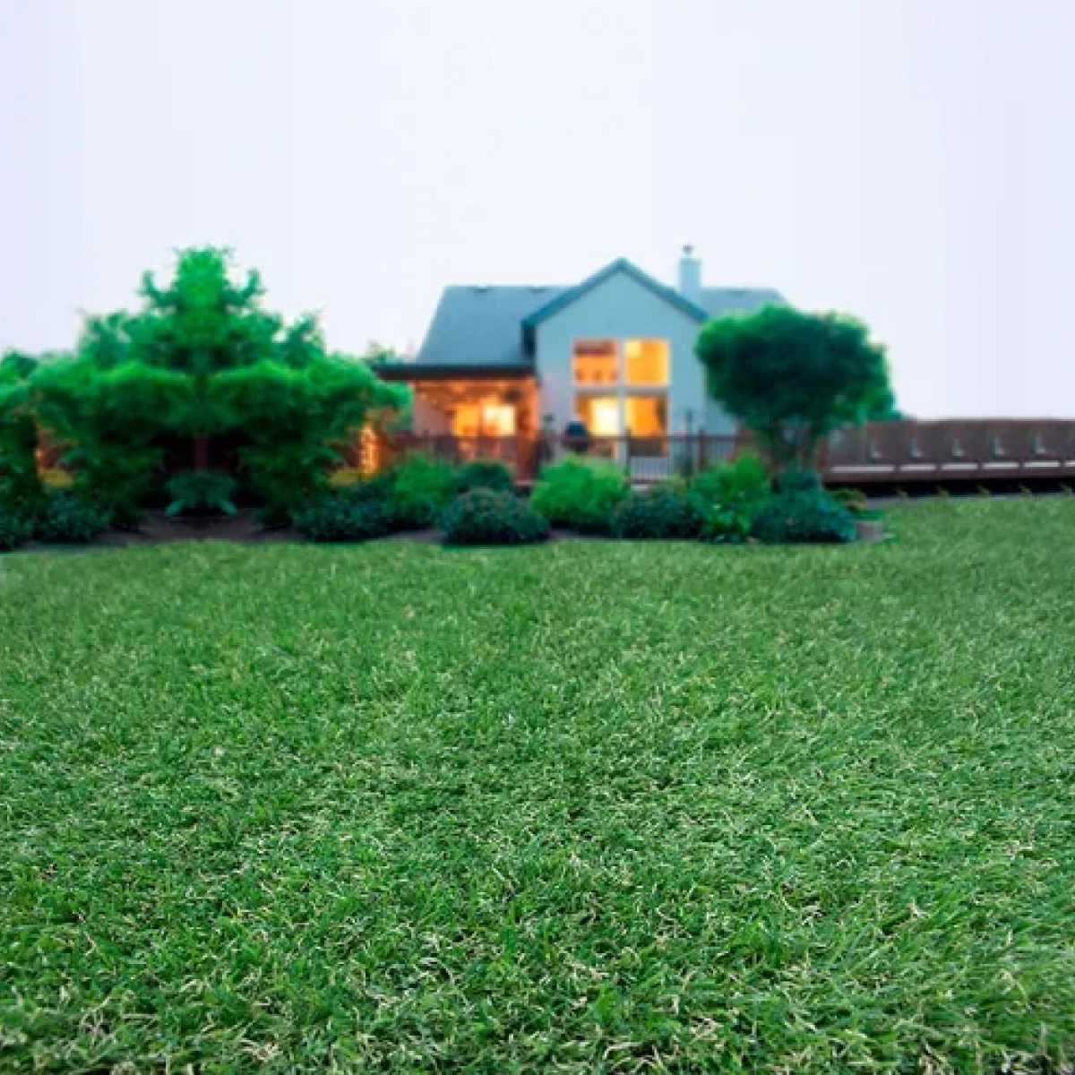 1 M2 Cesped Pasto Arificial Aspecto Natural Para Exteriores