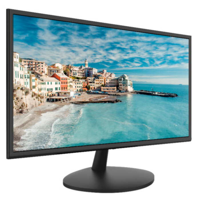 Monitor HIKVISION DS-D5024FN - 23.8" 
