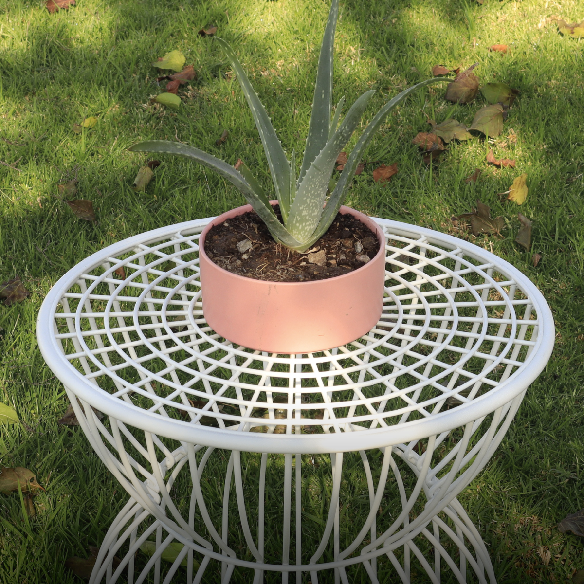 Mesa De Centro Para Exteriores, Jardín De Metal Tipo Jaula