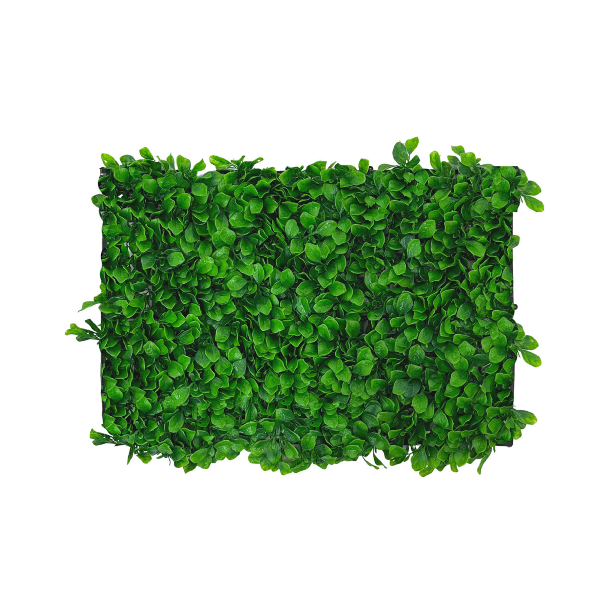 50 Piezas Follaje Artificial 40x60 Cm Muro Verde Sintetico Boxwood