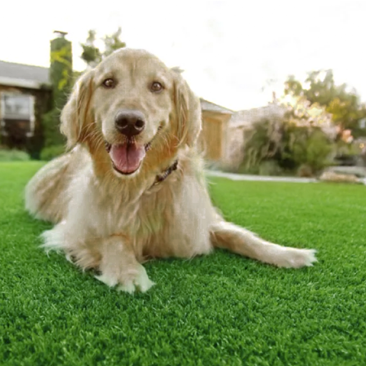 2 M2 Pasto Arificial Tipo Alfombra Para Exteriores 50mm