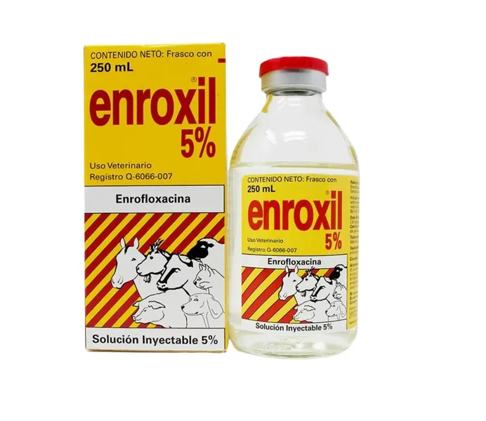 Enroxil 5% 250 Ml
