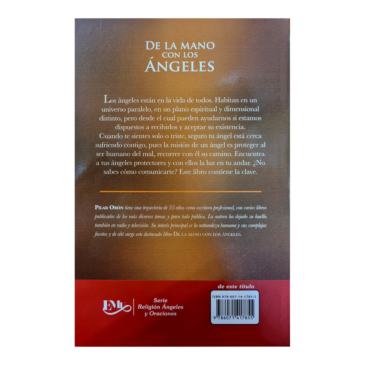 Libro De la mano con los Ángeles