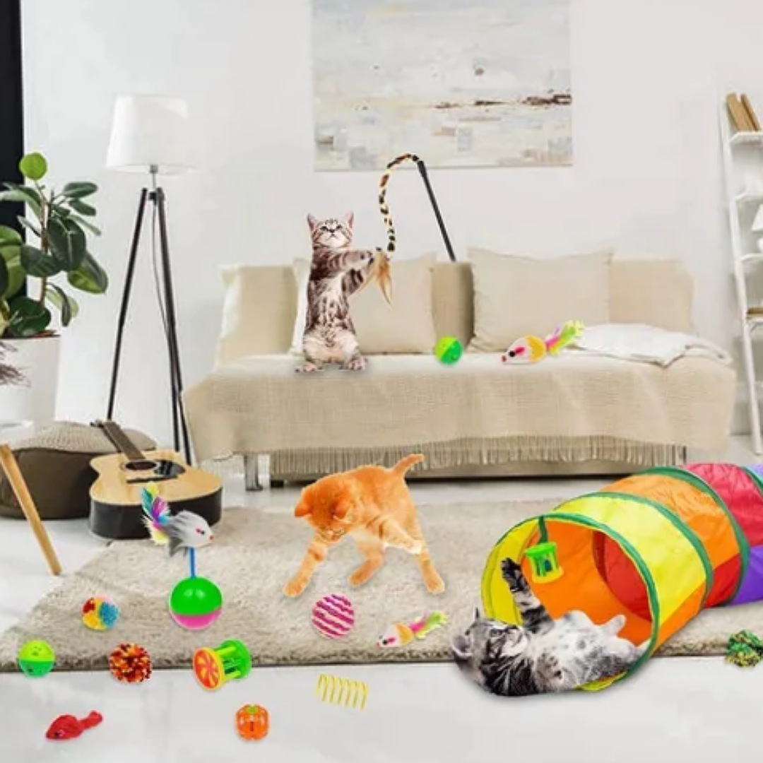 Juguetes Para Gato 20 Pcs Pluma Varita Bola Túnel Ratone