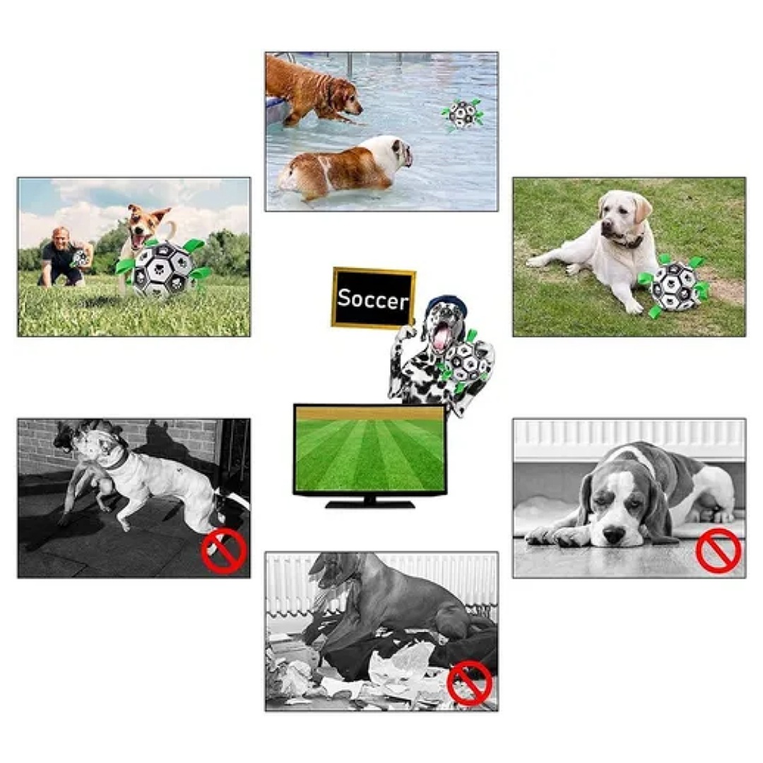 Juguetes Para Perros Balón De Fútbol Juguete Multifuncional