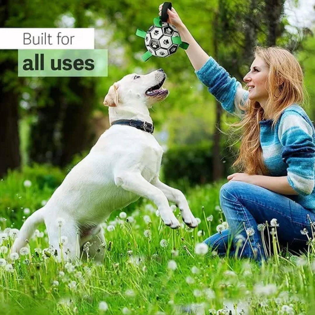 Juguetes Para Perros Balón De Fútbol Juguete Multifuncional