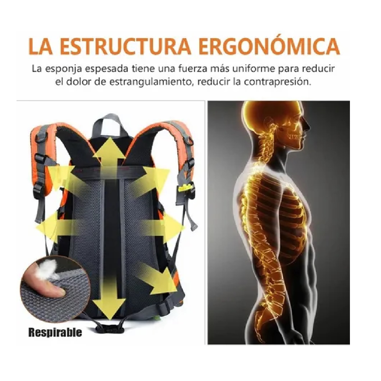 Mochila Deporte Viaje Impermeable Para Alpinismo Senderismo